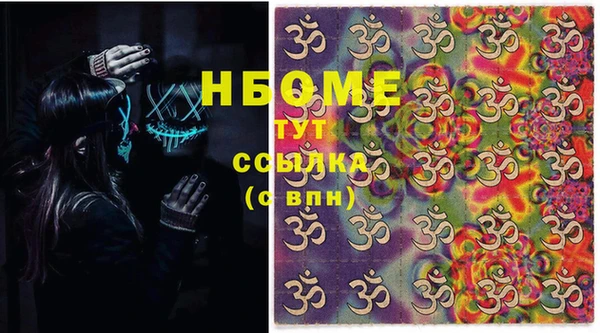 гашик Козловка