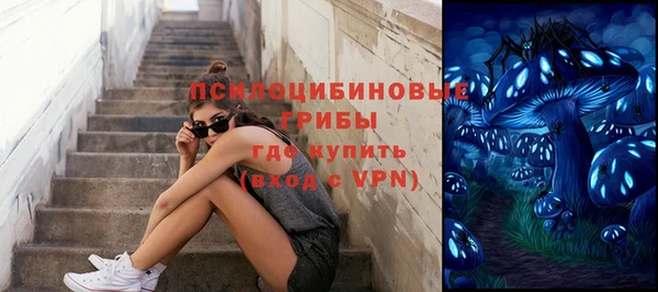 меф Ладушкин