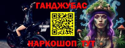 прущие крисы Кингисепп
