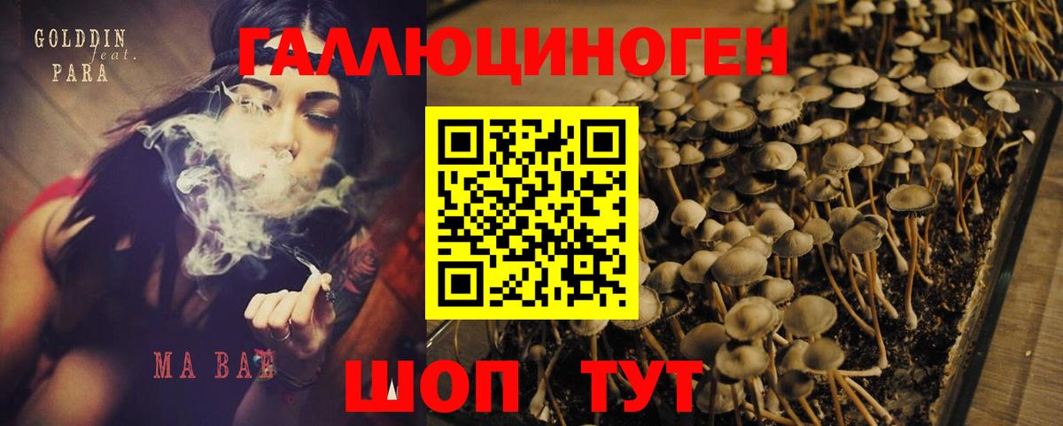 Галлюциногенные грибы мицелий  Псилоцибиновые грибы Psilocybine cubensis  Лабинск  Вход с VPN 