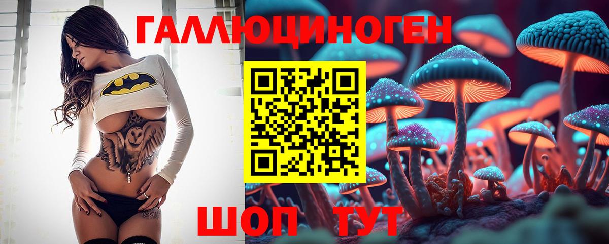 Псилоцибиновые грибы GOLDEN TEACHER Лабинск